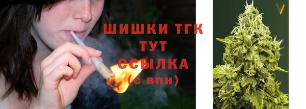 Альфа ПВП Арсеньев