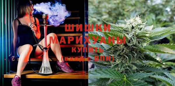 Альфа ПВП Арсеньев