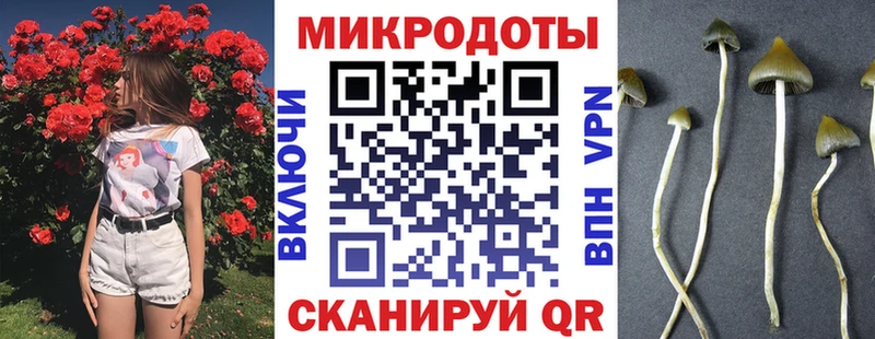 mega ONION Среднеуральск Псилоцибиновые грибы Psilocybe